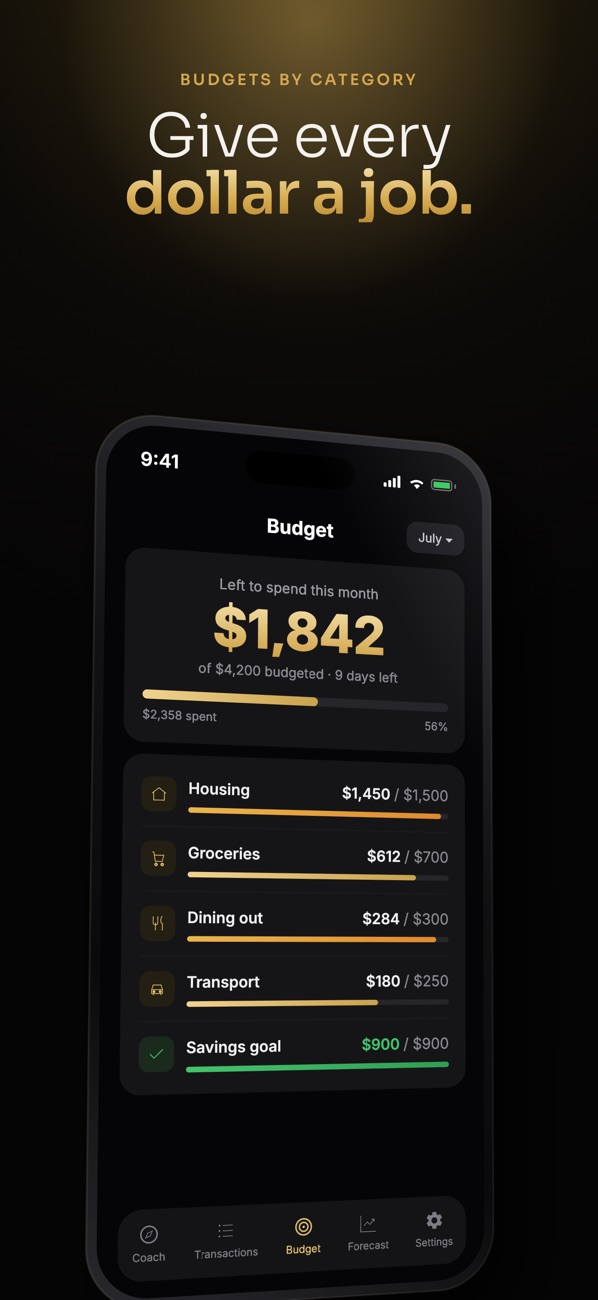 Budget Shield budgets by category